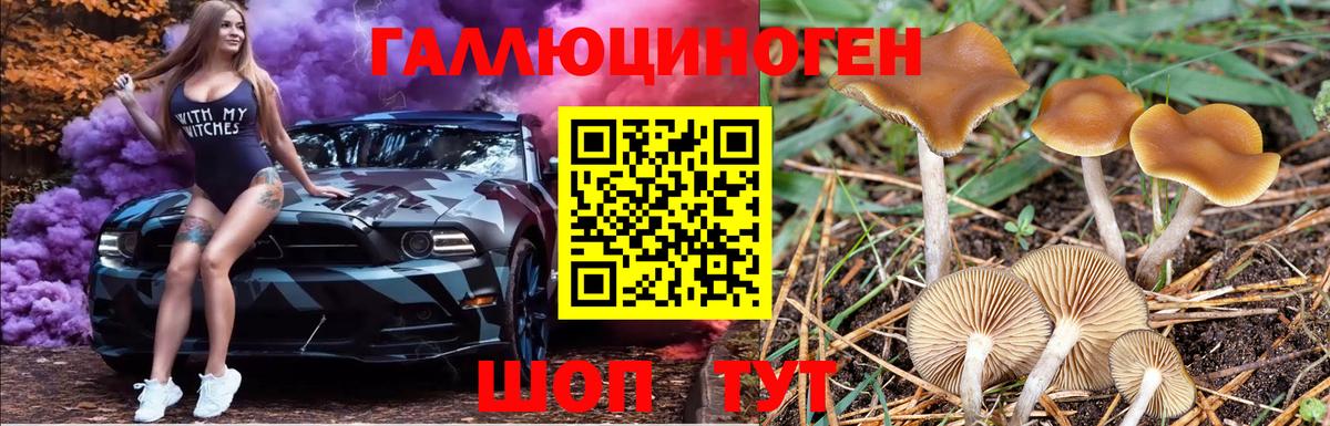 Галлюциногенные грибы Cubensis Благовещенск